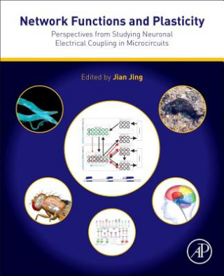 Knjiga Network Functions and Plasticity Jian Jing