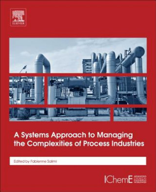 Kniha Systems Approach to Managing the Complexities of Process Industries Fabienne Salimi