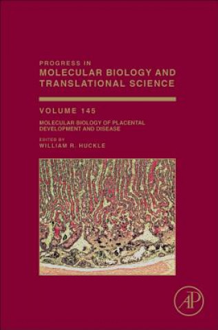 Książka Molecular Biology of Placental Development and Disease William Huckle