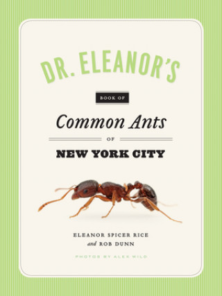 Kniha Dr. Eleanor's Book of Common Ants of New York City Eleanor Spicer Rice
