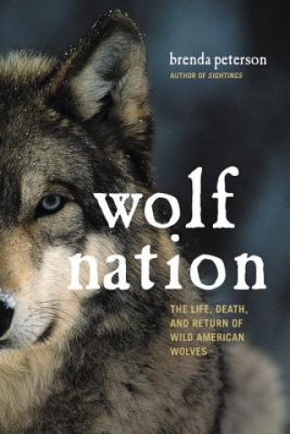 Książka Wolf Nation Brenda Peterson