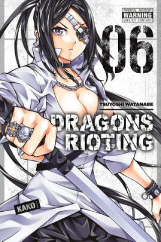 Kniha Dragons Rioting, Vol. 6 Tsuyoshi Watanabe