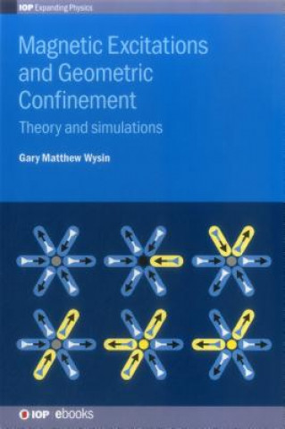 Könyv Magnetic Excitations and Geometric Confinement Gary Matthew Wysin