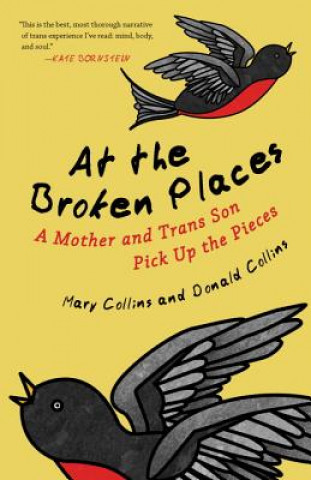 Carte At the Broken Places Mary Collins