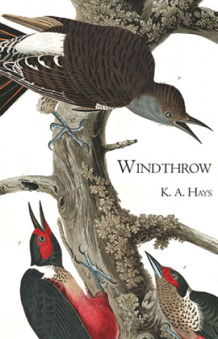 Knjiga Windthrow K. A. Hays