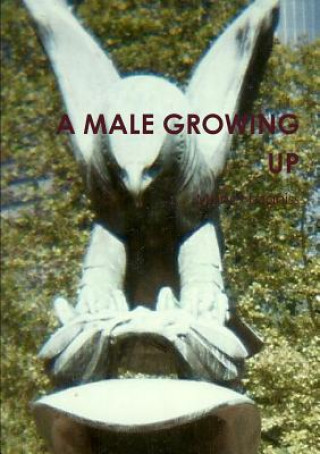 Knjiga Male Growing Up Manet Legniss