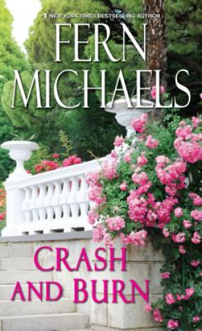 Buch Crash and Burn Fern Michaels