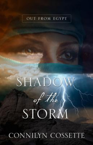 Книга Shadow of the Storm Connilyn Cossette