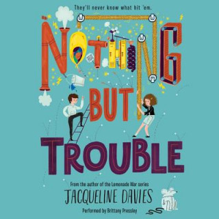Audio Nothing But Trouble Jacqueline Davies