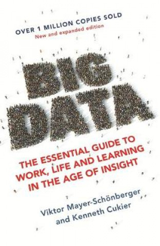 Könyv Big Data Viktor Kenneth Mayer Schonberger Cukier
