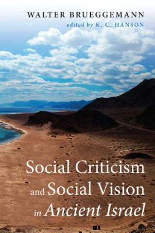 Książka Social Criticism and Social Vision in Ancient Israel Walter Brueggemann