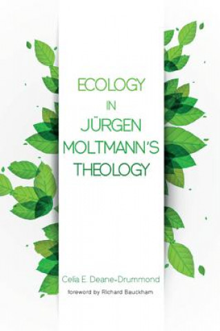 Kniha Ecology in Jurgen Moltmann's Theology Celia E. Deane-Drummond