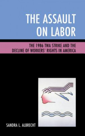 Könyv Assault on Labor Sandra L. Albrecht