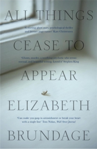 Kniha All Things Cease to Appear Elizabeth Brundage