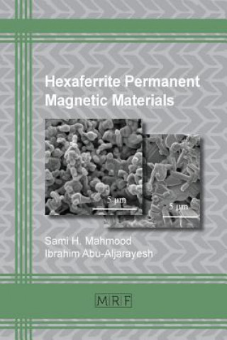 Книга Hexaferrite Permanent Magnetic Materials Sami H. Mahmood