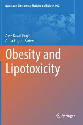Könyv Obesity and Lipotoxicity Ayse Basak Engin