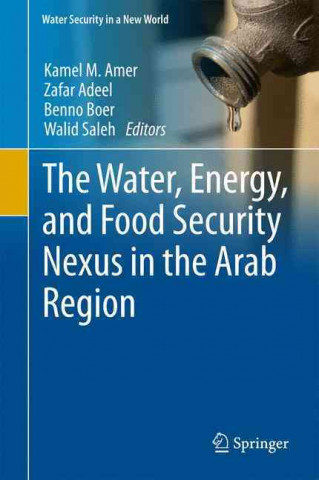 Buch Water, Energy, and Food Security Nexus in the Arab Region 