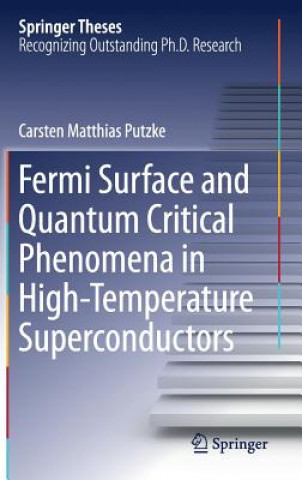 Book Fermi Surface and Quantum Critical Phenomena of High-Temperature Superconductors Carsten Matthias Putzke