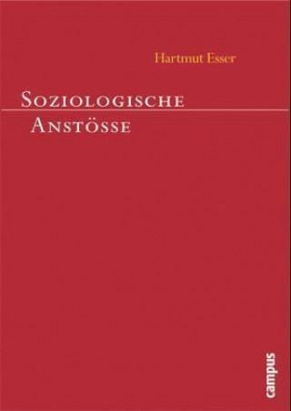 Livre Soziologische Anstöße Hartmut Esser