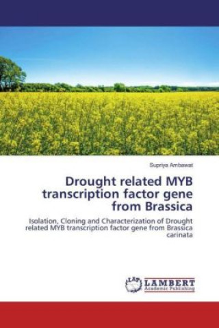 Carte Drought related MYB transcription factor gene from Brassica Supriya Ambawat
