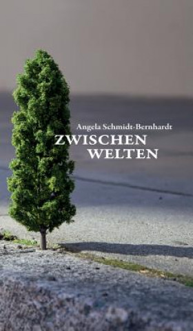 Boek Zwischenwelten Angela Schmidt-Bernhardt