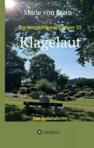 Книга Klagelaut Marie von Stein