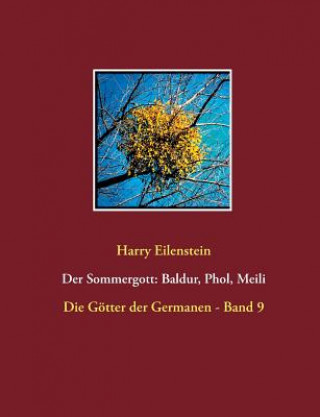Könyv Sommergott Harry Eilenstein