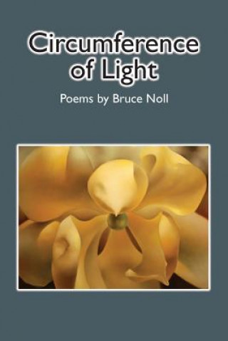 Könyv Circumference of Light Bruce Noll