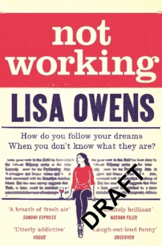 Knjiga Not Working Lisa Owens