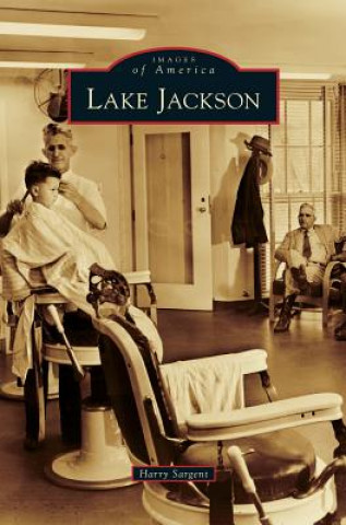 Книга Lake Jackson Harry Sargent