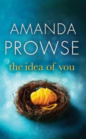 Hanganyagok The Idea of You Amanda Prowse