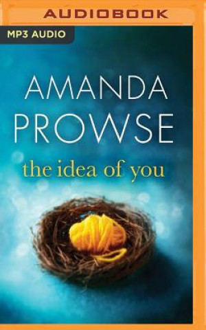 Digital The Idea of You Amanda Prowse