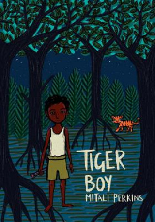 Kniha Tiger Boy Mitali Perkins