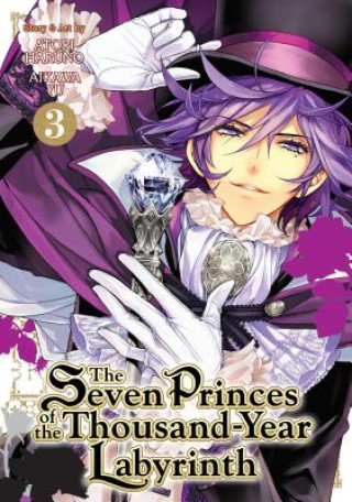 Könyv Seven Princes of the Thousand Year Labyrinth Aikawa Yu