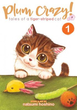 Kniha Plum Crazy! Tales of a Tiger-Striped Cat Hoshino Natsumi