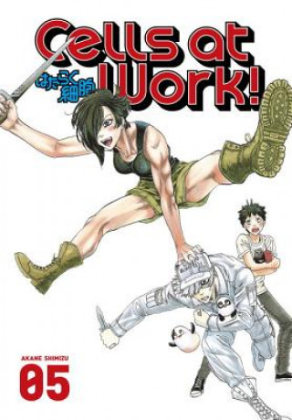 Kniha Cells At Work! 5 Akane Shimizu