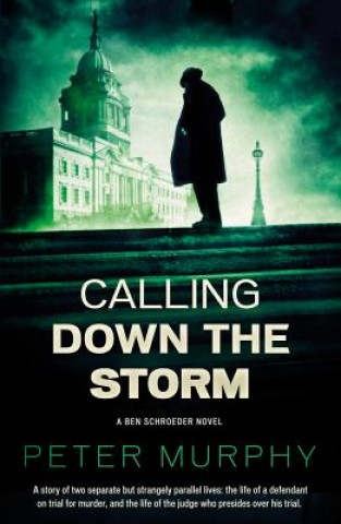 Livre Calling Down the Storm Peter Murphy