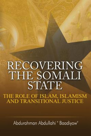 Kniha Recovering the Somali State Abdurahman Abdullahi