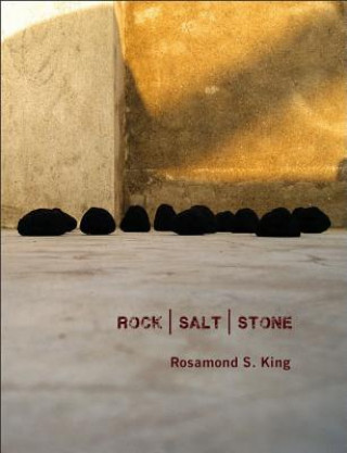 Knjiga Rock|Salt|Stone Rosamond King