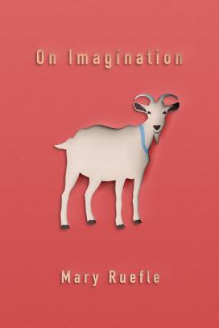 Kniha On Imagination Mary Ruefle