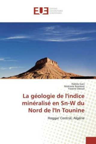 Carte La géologie de l'indice minéralisé en Sn-W du Nord de l'In Tounine Nabila Gaci