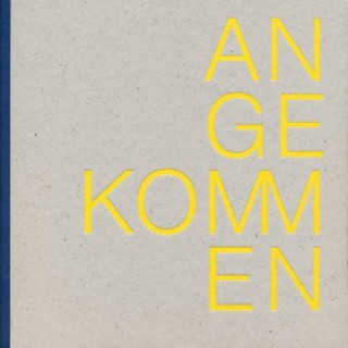 Kniha Angekommen Ulrike Schäfer