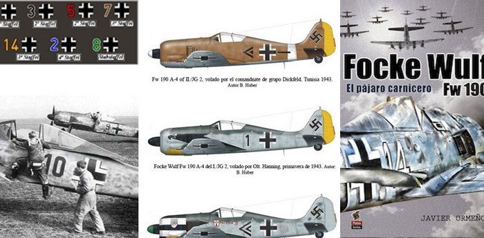 Könyv Focke Wulf Fw 190: El pájaro carnicero 