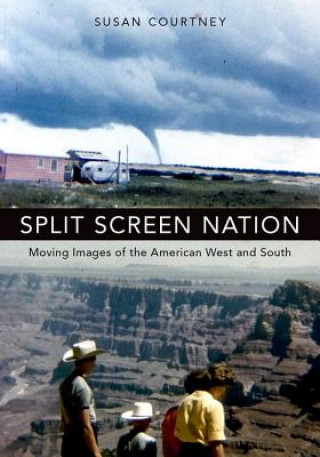 Livre Split Screen Nation Susan Courtney