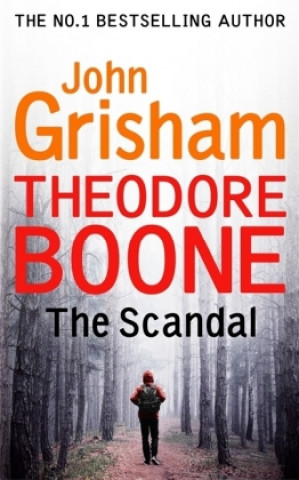 Книга Theodore Boone: The Scandal John Grisham