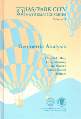 Boek Geometric Analysis Hubert L. Bray