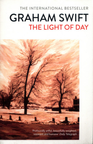 Kniha Light of Day Graham Swift