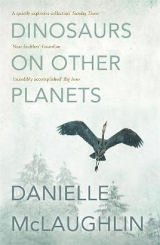Kniha Dinosaurs on Other Planets Danielle McLaughlin