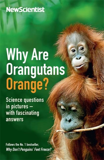 Kniha Why Are Orangutans Orange? New Scientist