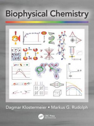 Książka Biophysical Chemistry KLOSTERMEIER